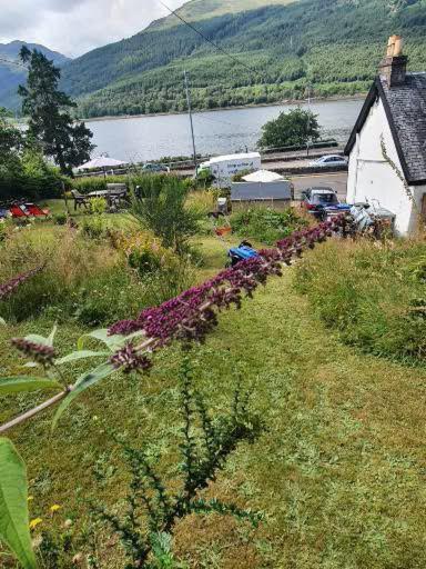 Rowantreebank 3* Arrochar